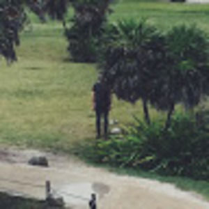 Meet your Posher, Sasha